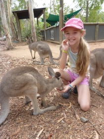 The first image for blog - Holding Koalas, feeding kangaroos and deadly snakes!!!!