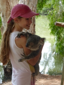 The first image for blog - Holding Koalas, feeding kangaroos and deadly snakes!!!!