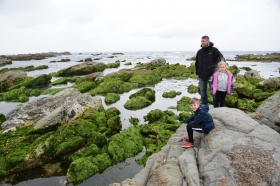 The first image for blog - Kaikoura whales and dolphins
