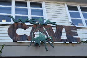 The first image for blog - Windy Welly